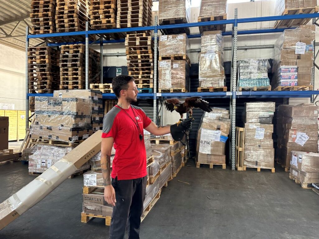 falconeria_md_disinfestazioni_capannoni_industriali